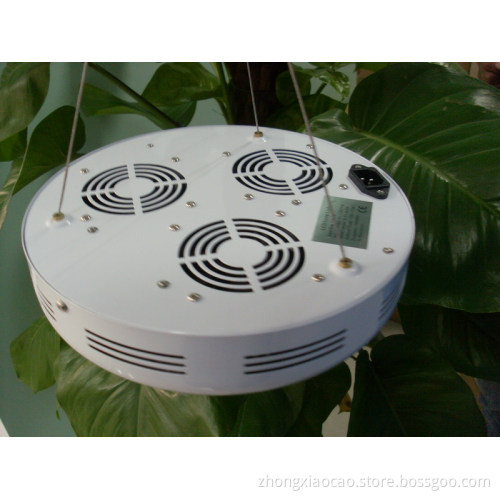 Christmas and new year factory wholesale 90w Hydroponics And